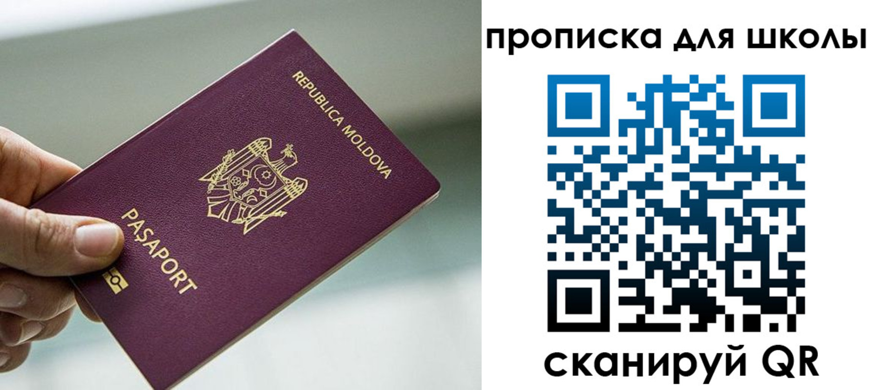 прописка в квартире в Таганроге